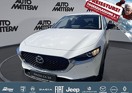 Mazda CX-30 CX30 2.5L e-SKYACTIV G 140ps
