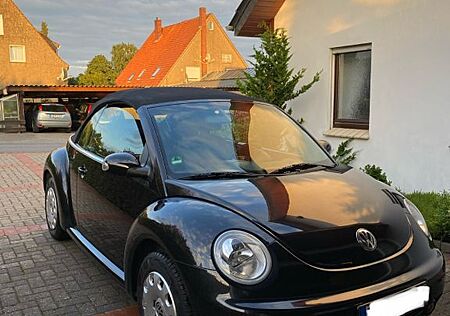 VW Beetle Volkswagen