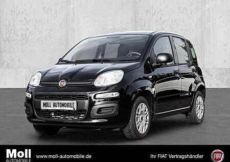 Fiat Panda Easy 1.2 8V EU6d-T DAB PDC Berganfahrass.