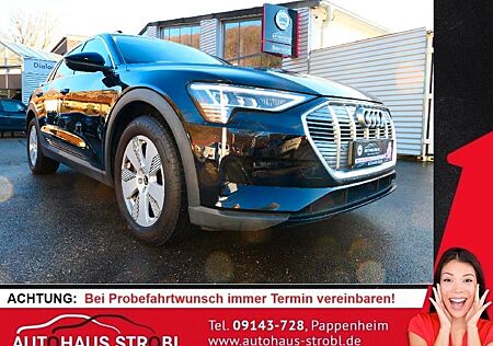 Audi e-tron 50 quattro/ NAVI/ LUFTFAHRWERK/ LED/DAB