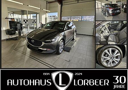 Mazda CX-30 M-HYBRID 6AG 150PS SELECTION DES-P NAVI