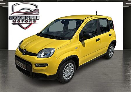 Fiat Panda Pandina