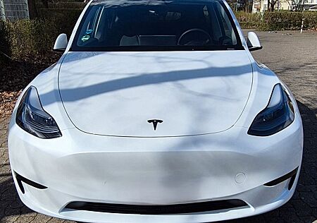 Tesla Model Y Hinterradantrieb Sandard Range