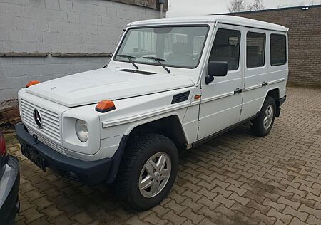 Mercedes-Benz G 300 GE Benzin H Zulassung