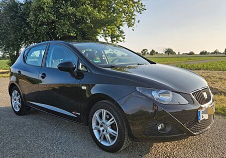 Seat Ibiza 1.4 16V Style Copa