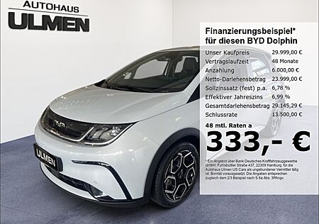 BYD DOLPHIN Comfort Leder Navi Voll