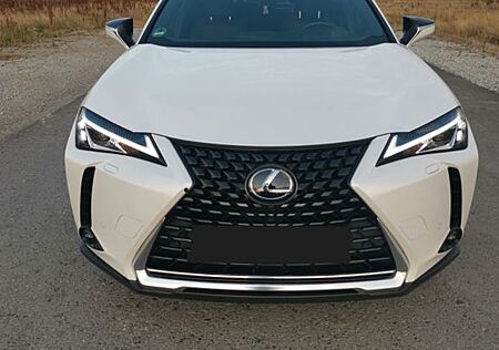 Lexus UX 250h Style Edition