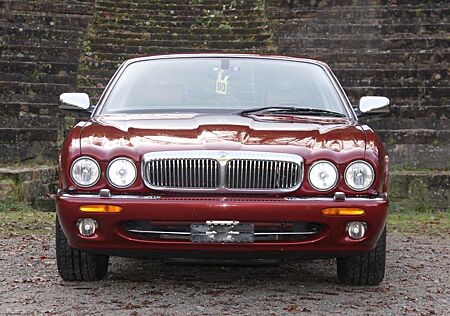 Jaguar Daimler Kurzversion 164 Stück 3 Jahre Garantie