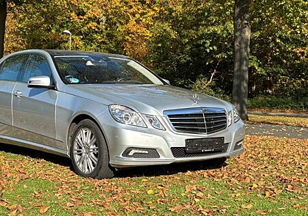 Mercedes-Benz E 350 4MATIC BlueEFFICIENCY ELEGANCE Panorama