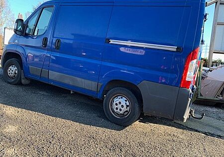 Fiat Ducato , L1H1, 2 Schiebetür, Schreinerfahrzeug