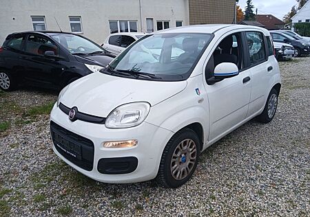 Fiat New Panda Panda