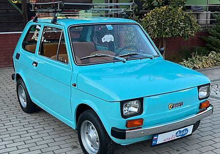 Fiat 126 Steinwinter 250 cm Zweitaktmotor