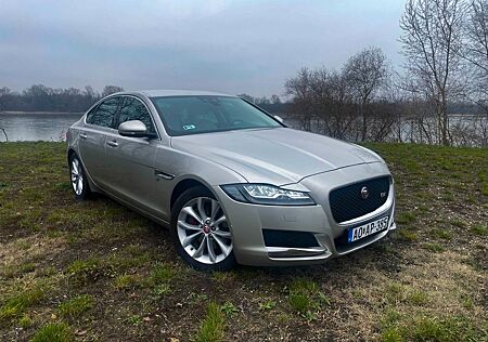 Jaguar XF 20d 180PS Prestige Automatik Prestige