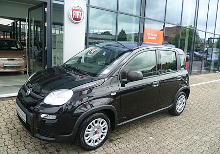 Fiat Panda MY24 1.0 70PS Mild-Hybrid, Klima, ZV, elek