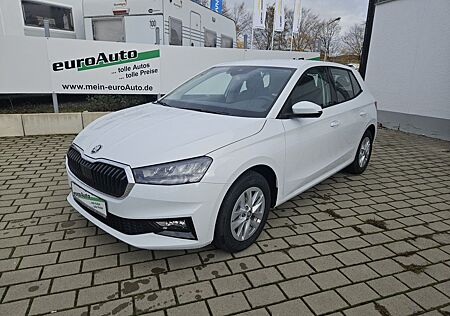 Skoda Fabia Selection 1.0 TSi 85 kW DSG Climatronic