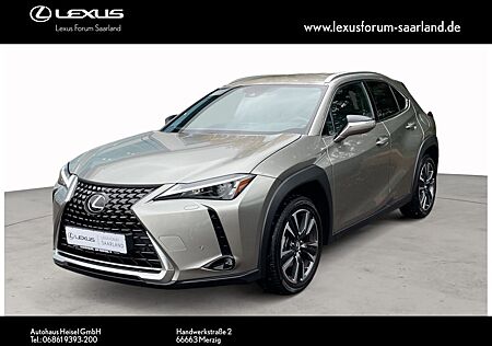 Lexus UX gebraucht kaufen Lexus UX 250h FWD Style Edition