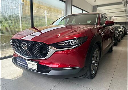 Mazda CX-30 Selection X 186 PS *AWD*Leder*Premium*