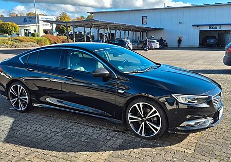 Opel Insignia 2.0 CDTi OPC*20*Matrix*Leder*HDUP*Bird