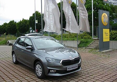 Skoda Fabia Selection Kamera