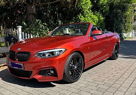 BMW 230i Cabrio M Sport - 8 Fach Reifen