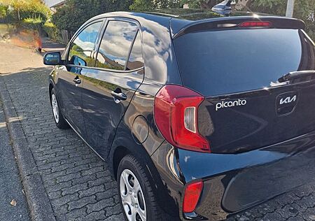 Kia Picanto Vision Automatik