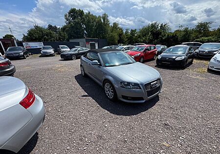 Audi A3 1.8 S line Cabriolet Insp/Tüv/Steuerkette Neu