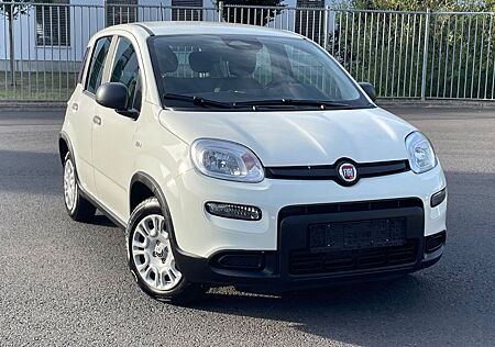 Fiat Panda Pandina Digital Tacho FACELIFT 2024
