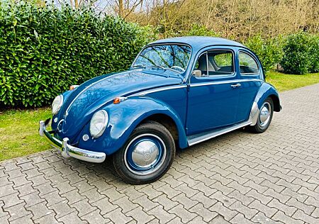 VW Käfer Volkswagen Winkermodell TÜV 09.26