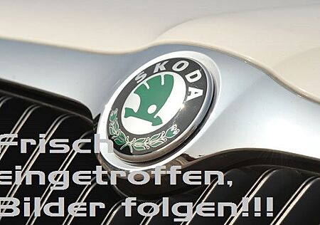 Skoda Kodiaq Sportline 4x4 ACC 360° LED Virtual 1.Hand