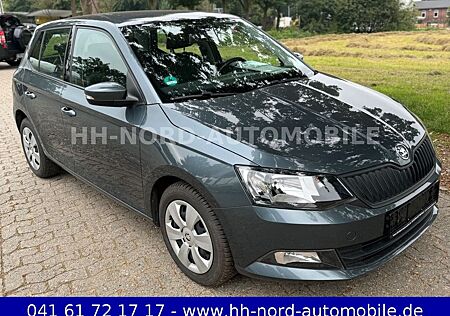 Skoda Fabia Active //WENIG KM//KLIMA//TÜV NEU//