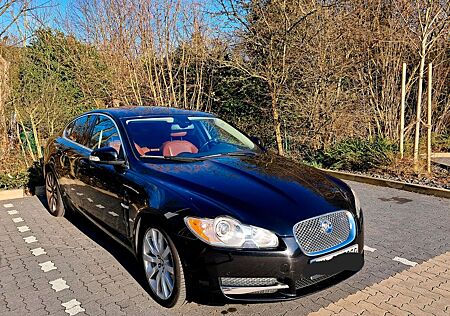 Jaguar XF 2.7 L V6 Diesel Premium Luxury - TÜV NEU