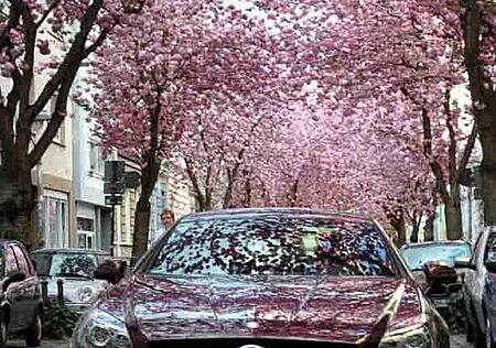 Mercedes-Benz SLK 250 CDI Automatic 238 PS