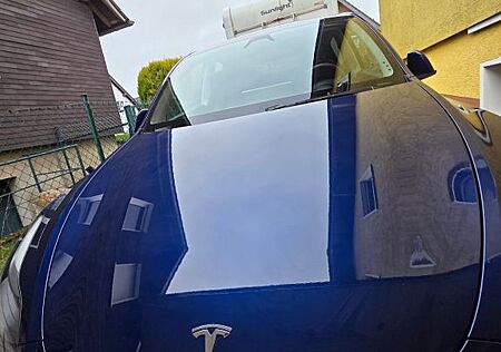 Tesla Model Y Standard Hinterradantrieb Standard