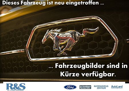 Ford EcoSport ST-Line+Kamera+B&O+Navi+Winter-P.+BLIS