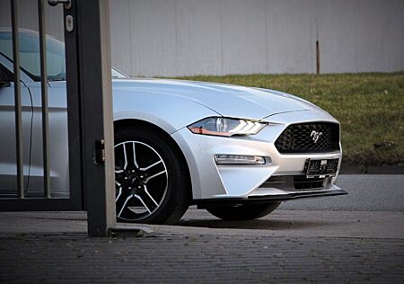 Ford Mustang 2.3 EcoBoost Cabrio / Premiumpaket