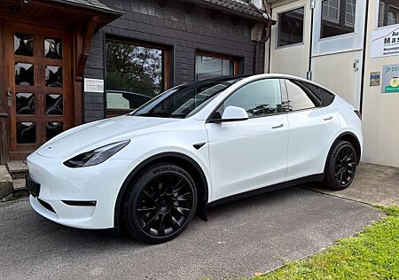 Tesla Model Y LR Long Range 20" Induction PDC