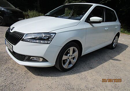 Skoda Fabia 1.0l MPI 44kW60PS ACTIVE ACTIVE