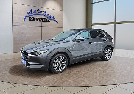 Mazda CX-30 2.0 180PS Aut.18*Alu/Matrix/Navi/el.Klappe