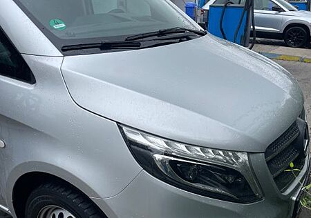 Mercedes-Benz Vito für Hundebesitzer Trainer