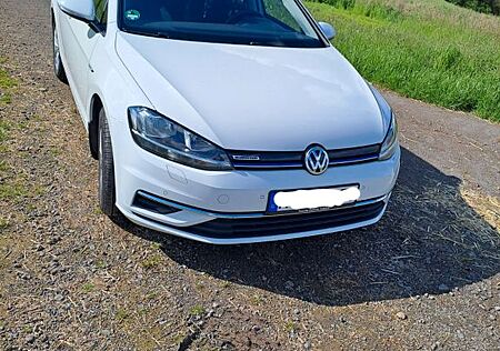 VW Golf Volkswagen 1.4 Blue Motion Comfortline TGI Cng
