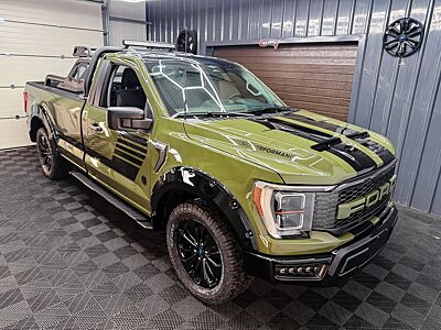 Ford F 150 RAPTOR look, 3.3 4x4 Top Ausstattung