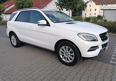 Mercedes-Benz ML 250 BlueTEC 4MATIC Top Zustand