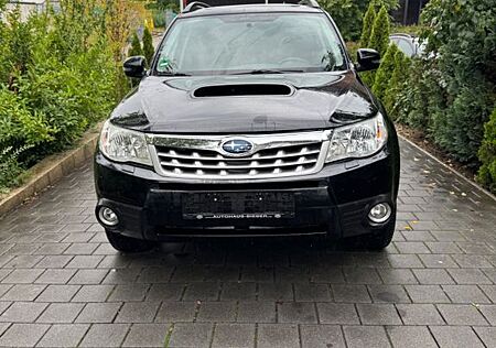 Subaru Forester Exclusive