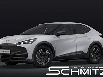 Cupra TAVASCAN ENDURANCE *286* (SOFORT !! )++Dr  [...]