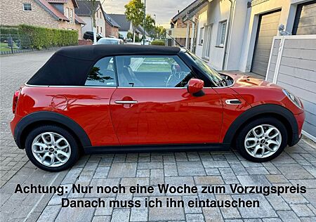 Mini Cooper Cabrio Cooper