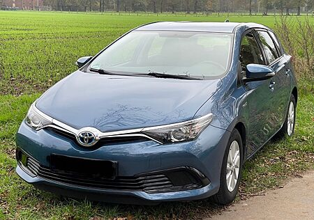 Toyota Auris Hybrid Cool 1,8-l-VVT-i Cool