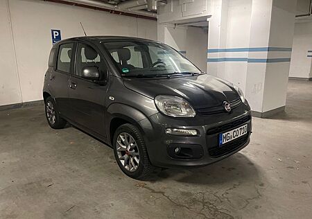 Fiat Panda 1.2 TÜV NEU 12/26, 1. Hand, 5 Sitzer