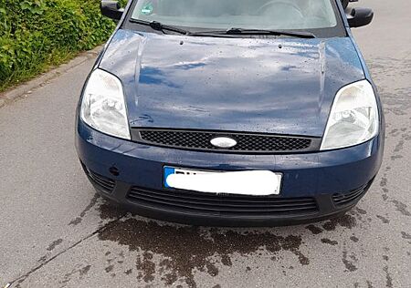 Ford Fiesta 1,3 51 kW Viva Viva