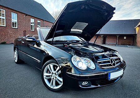 Mercedes-Benz CLK 320 CLK320 CDI Cabrio Avantgarde 7G Xe