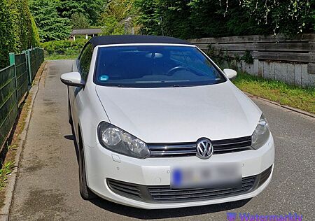 VW Golf Volkswagen 1.6 TDI Cabriolet - Oryweiß - Sportfahrwerk